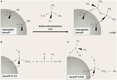 Surface Treatment With Hydrophobic Coating Reagents (Organosilanes) Strongly Reduces the Bioactivity of Synthetic Amorphous Silica in vitro